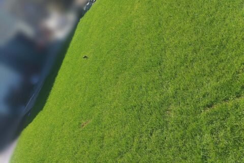 Ruloninės vejos klojimas Vilniuje