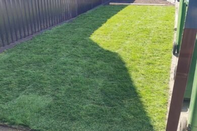 Ruloninės vejos įrengimas