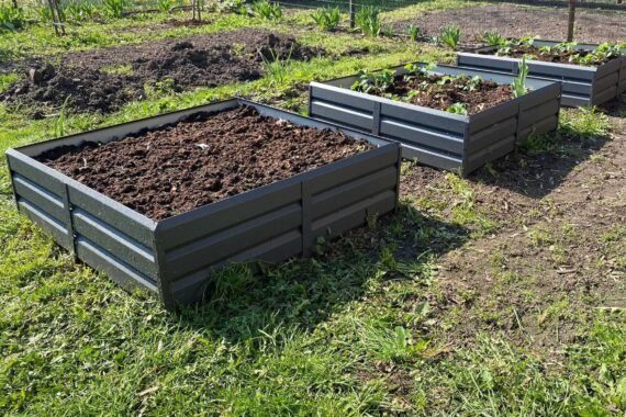 Skardinės pakeltos lysvės darže su tarpais